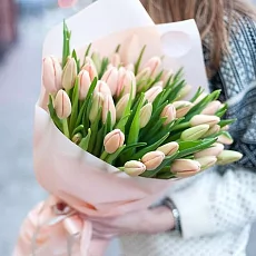 35 Розовых Тюльпанов