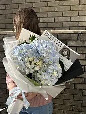 3 Голубые гортензии