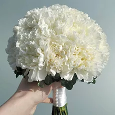 Букет невесты из 25 белых гвоздик