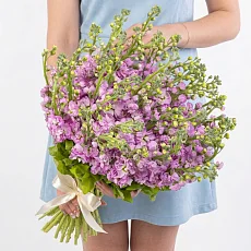 45 Розовых Маттиол