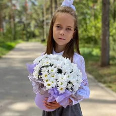 Коробка с хризантемой Бакарди