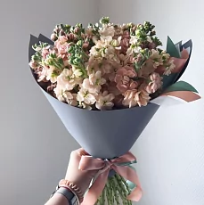 21 Кремовая Маттиола в упаковке