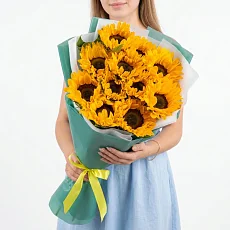 11 подсолнухов