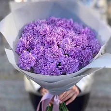 31 Сиреневая Гвоздика в упаковке 