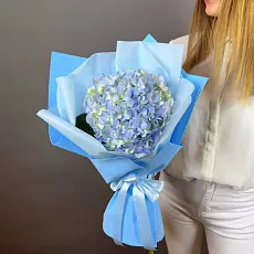 Голубая гортензия