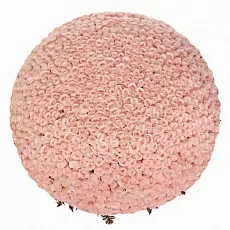 Роза Розовая 1001 в корзине