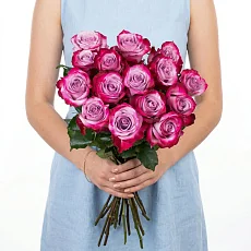 15 фиолетовых роз (Эквадор)