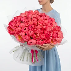 51 Коралловый Пион