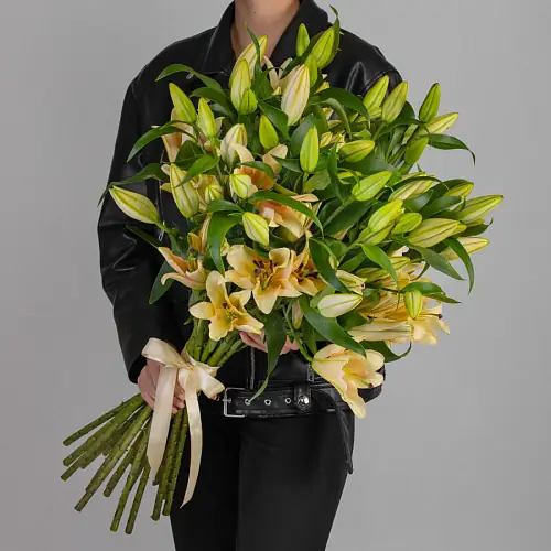  25 Кремовых Лилий