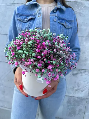 Коробка с цветной гипсофилой