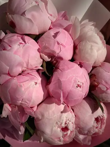 На фото №6 Букет из 9 пионов