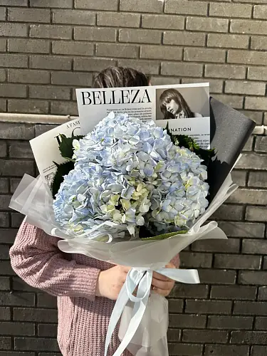 На фото №2 3 Голубые гортензии