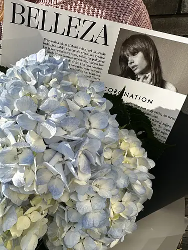 На фото №4 3 Голубые гортензии