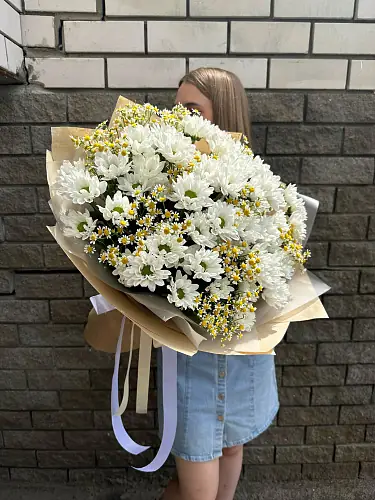 На фото №2 Матрикарии и Хризантема кустовая