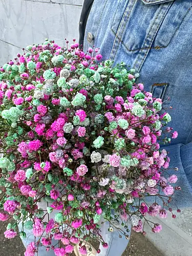 На фото №3 Коробка с цветной гипсофилой