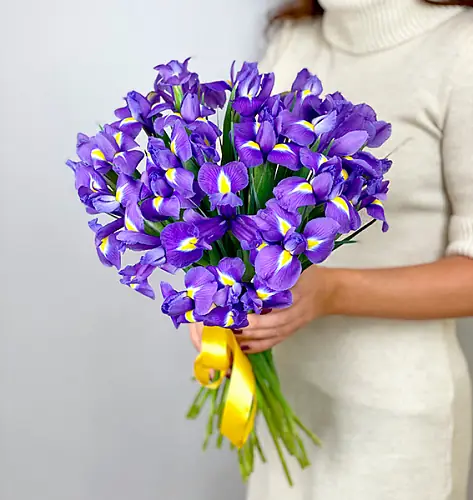 Букет из 25 ирисов