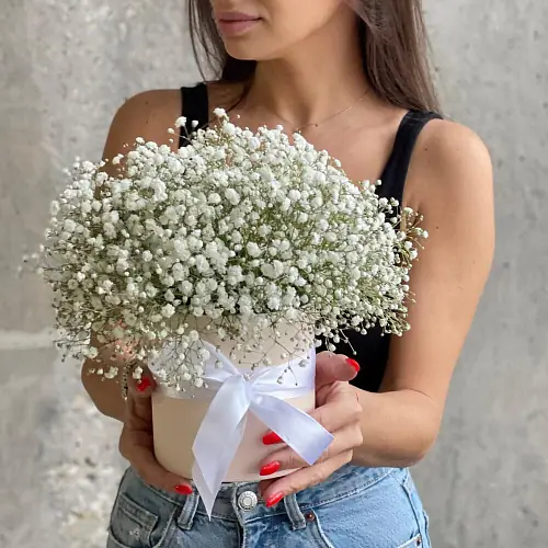 Гипсофила в коробке Белого цвета