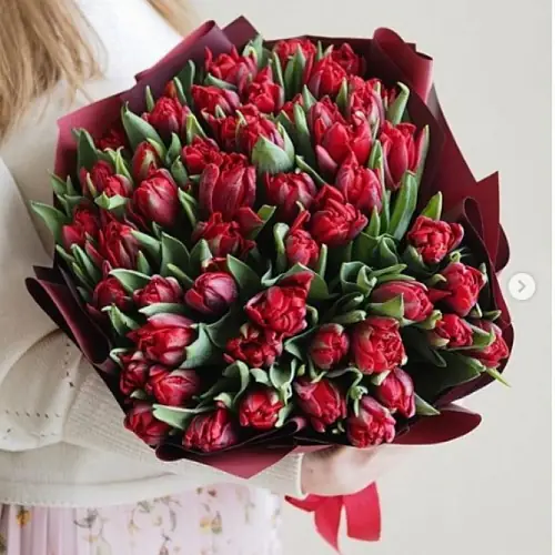 Букет из 51 Тюльпана пурпурного цвета