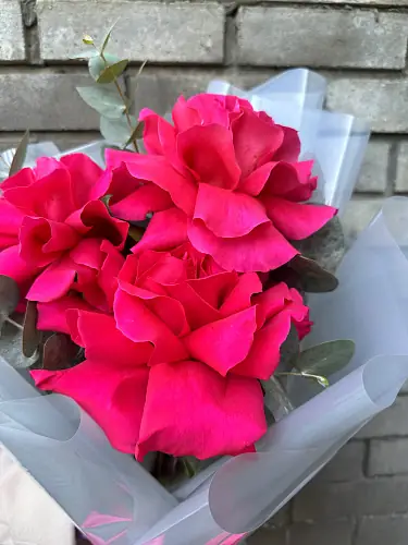 На фото №5 Букет живых цветов из 3 французских розовых роз с эвкалиптом в дизайнерской упаковке