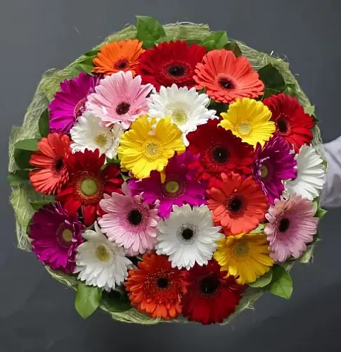 На фото №2 Букет из 25 гербер микс