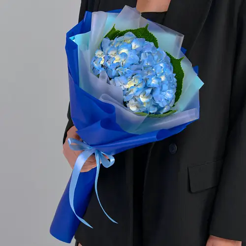 Букет из Синей гортензии в упаковке 
