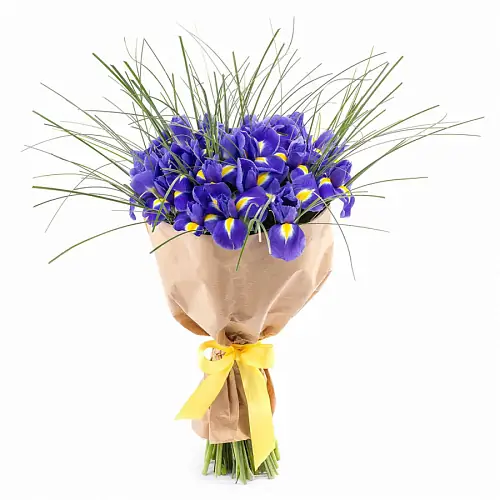 Букет ирисов 17 шт