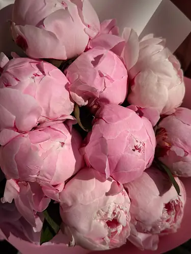 На фото №6 Букет из 9 пионов