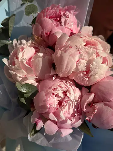 На фото №6 Букет живых цветов из 5 Пионов оформленный в крафтовую бумагу