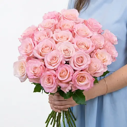 Нежные розы Эквадор 25 шт