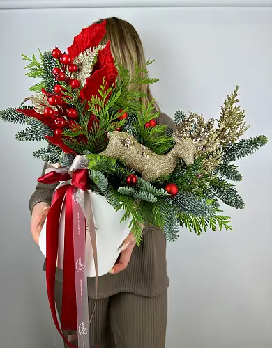 На фото №3 Цветы живые, Новогодняя композиция с нобилисом и туей в шляпной коробке