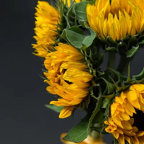 На фото №4 Букет "7 Подсолнухов"