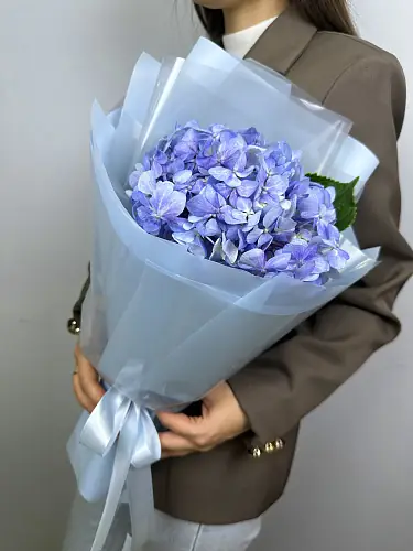 На фото №2 Букет живых цветов из голубой гортензии