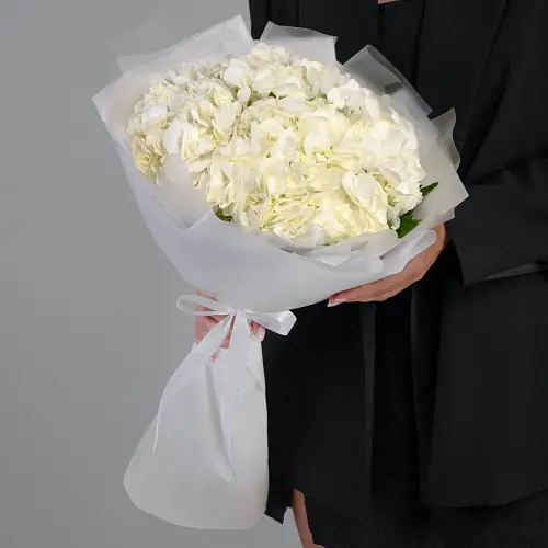 5 Белых Гортензий 