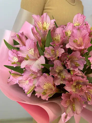 На фото №4 7 Розовых альстромерий