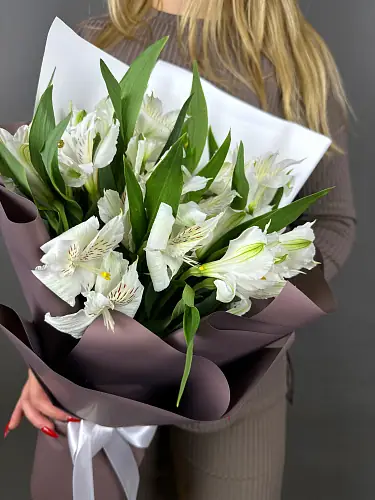 На фото №3 5  Нежных Альстромерий в упаковке 