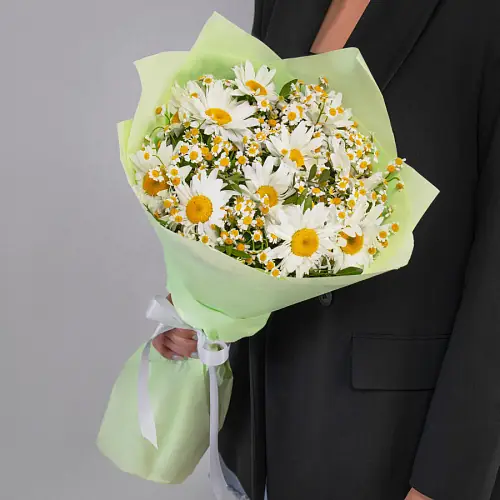 21 Ромашка Микс в упаковке