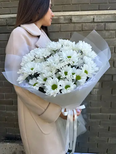 На фото №4 7 Кустовых Хризантем в упаковке