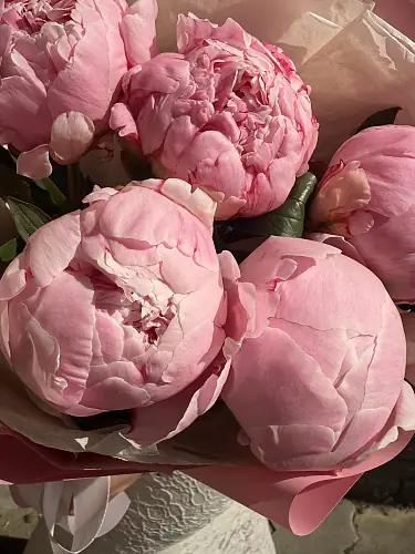 На фото №5 5 Розовых пионов в дизайнерской упаковке 