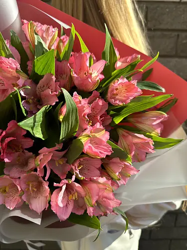 На фото №4 7 Розовых альстромерий в упаковке