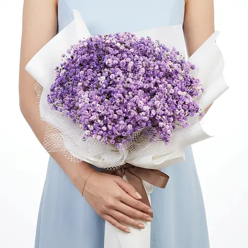 15 Фиолетовых Гипсофил