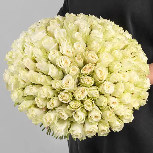 151 Белая Роза