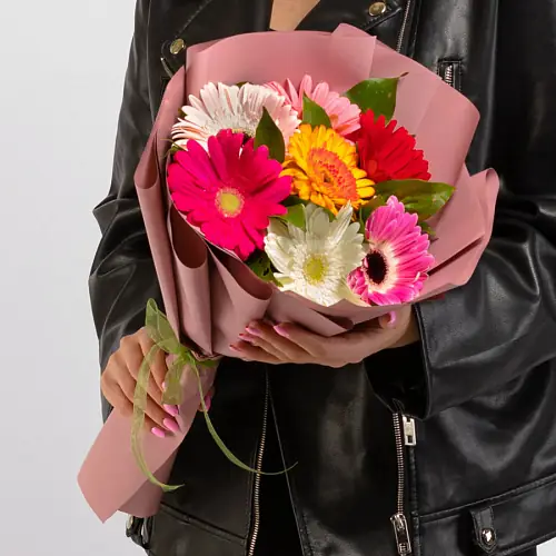 7 Гербер Микс в упаковке