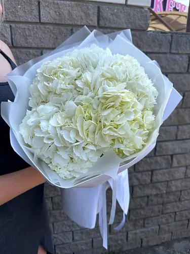 На фото №3 Букет живых цветов из 5 белых гортензий оформленный в дизайнерскую упаковку