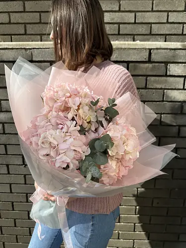 На фото №2 Розовые гортензии с Зеленью