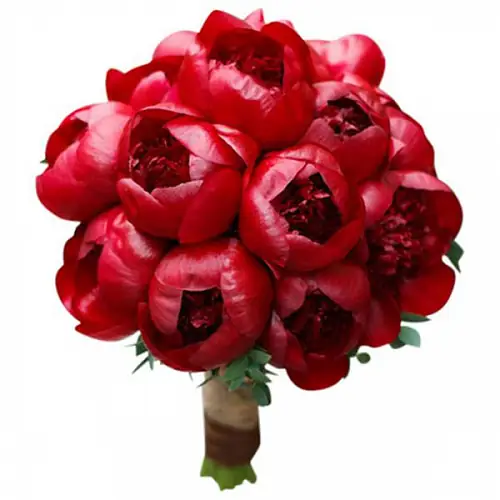 Букет невесты из красных пионов