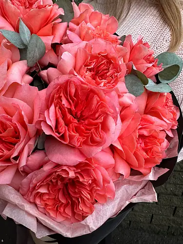 На фото №5 Роза Пионовидная 11 шт