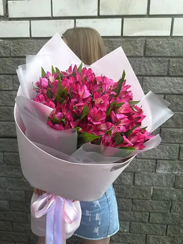 Малиновые альстромерии