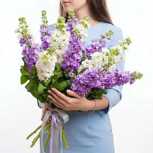 Букет "11 Белых и Фиолетовых Маттиол"