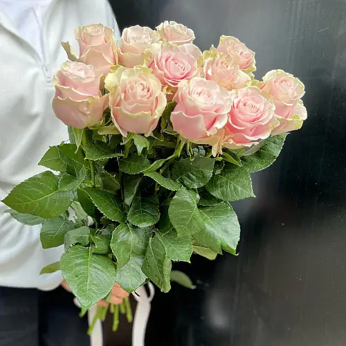 На фото №2 11 Светло-Розовых роз
