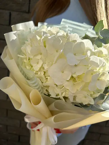 На фото №2 Букет живых цветов из гортензии с эвкалиптом